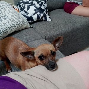 Meet your Posher, Amber